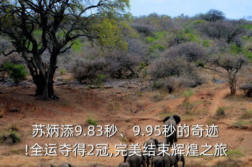 蘇炳添9.83秒、9.95秒的奇跡!全運奪得2冠,完美結束輝煌之旅
