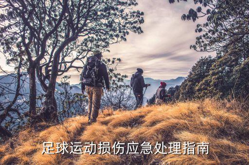  足球運動損傷應(yīng)急處理指南