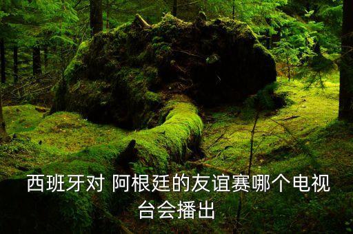  西班牙對(duì) 阿根廷的友誼賽哪個(gè)電視臺(tái)會(huì)播出