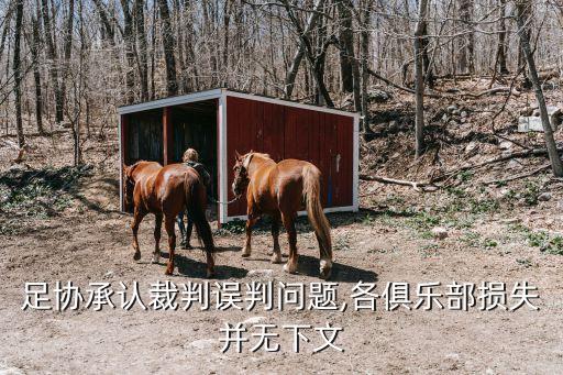 足協承認裁判誤判問題,各俱樂部損失并無下文