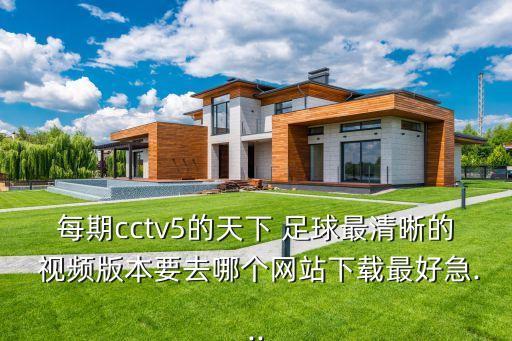 每期cctv5的天下 足球最清晰的 視頻版本要去哪個網(wǎng)站下載最好急...