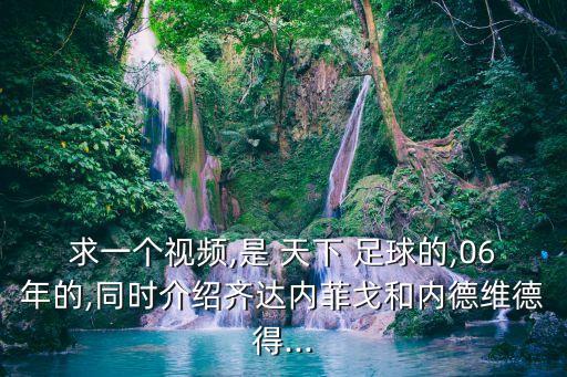 求一個視頻,是 天下 足球的,06年的,同時介紹齊達內(nèi)菲戈和內(nèi)德維德得...