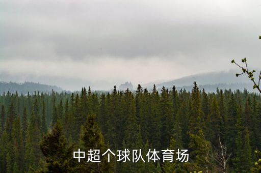 中超個(gè)球隊(duì)體育場