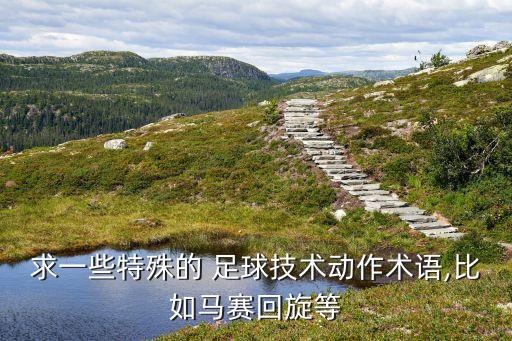 求一些特殊的 足球技術(shù)動作術(shù)語,比如馬賽回旋等