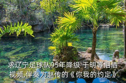 求遼寧足球隊(duì)95年降級(jí) 于明等淚灑視頻,伴奏為趙傳的《你我的約定》