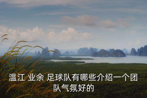 溫江 業(yè)余 足球隊(duì)有哪些介紹一個團(tuán)隊(duì)氣氛好的