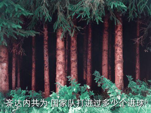 足球國家隊(duì)五月份比賽,2023足球國家隊(duì)比賽日