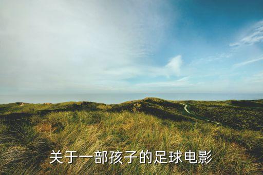 2012年火車頭足球隊(duì)全家福