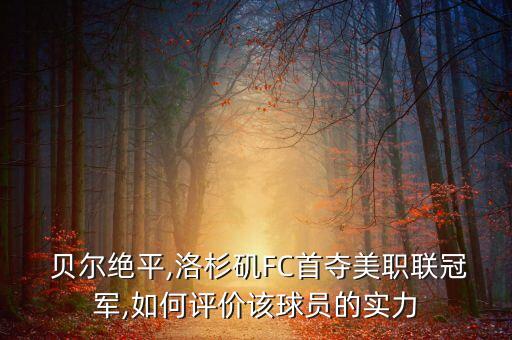  貝爾絕平,洛杉磯FC首奪美職聯(lián)冠軍,如何評價該球員的實力