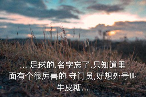 ... 足球的.名字忘了.只知道里面有個(gè)很厲害的 守門員,好想外號(hào)叫牛皮糖...