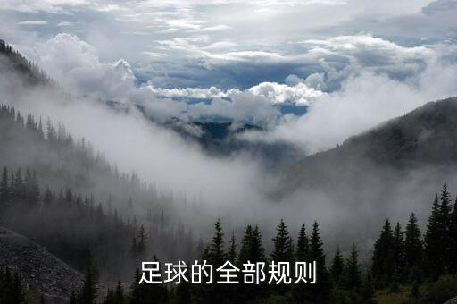 充氣大足球場,有一個大足球場的英文