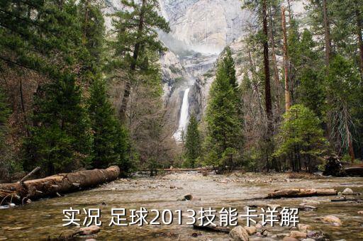 實(shí)況 足球2013技能卡詳解