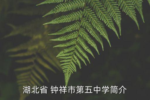 湖北省 鐘祥市第五中學(xué)簡(jiǎn)介
