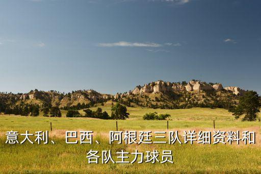 意大利、巴西、阿根廷三隊詳細資料和各隊主力球員