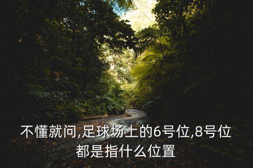 權(quán)健足球隊6號,天津權(quán)健足球隊外援
