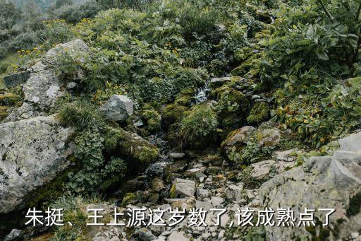 朱挺、王上源這歲數(shù)了,該成熟點了