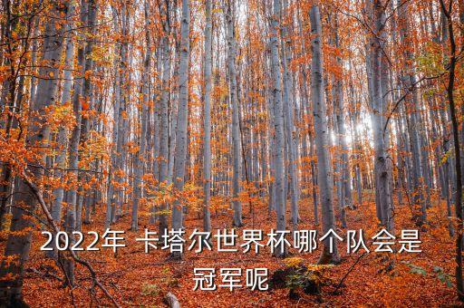 2022年 卡塔爾世界杯哪個隊會是冠軍呢