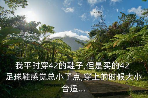 我平時穿42的鞋子,但是買的42 足球鞋感覺總小了點,穿上的時候大小合適...