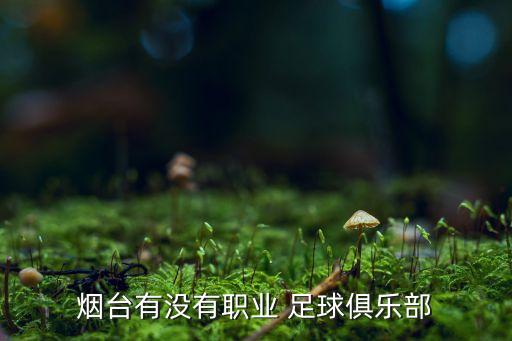 煙臺(tái)有沒(méi)有職業(yè) 足球俱樂(lè)部
