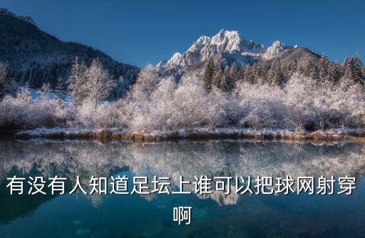 有沒有人知道足壇上誰可以把球網(wǎng)射穿啊