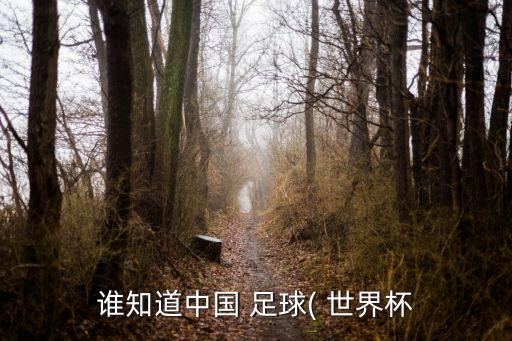 誰(shuí)知道中國(guó) 足球( 世界杯