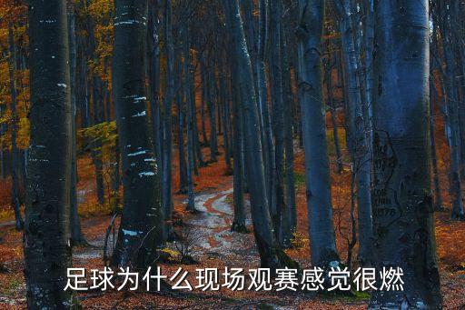  足球?yàn)槭裁船F(xiàn)場觀賽感覺很燃
