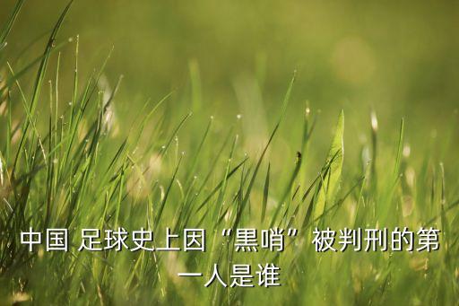 中國(guó) 足球史上因“黒哨”被判刑的第一人是誰
