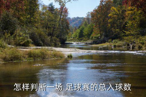 足球單雙進(jìn)球判斷,足球雙半場進(jìn)球是什么意思