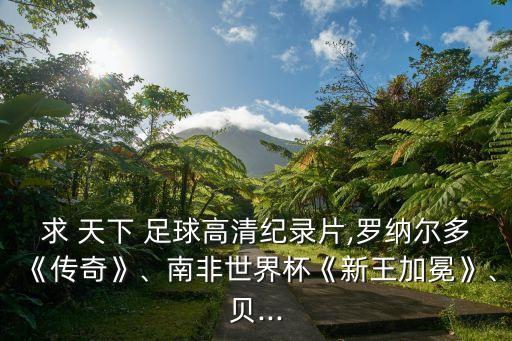 求 天下 足球高清紀(jì)錄片,羅納爾多《傳奇》、南非世界杯《新王加冕》、貝...