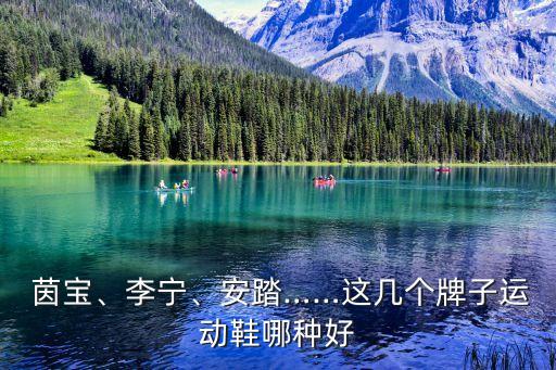  茵寶、李寧、安踏……這幾個牌子運動鞋哪種好