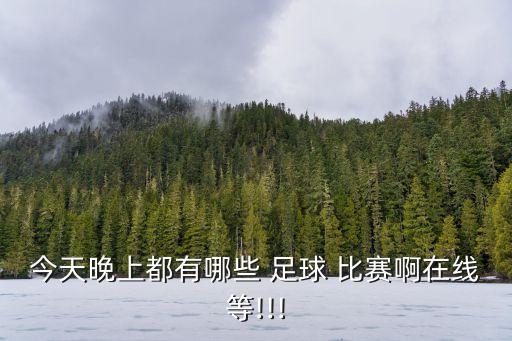 今天晚上都有哪些 足球 比賽啊在線等!!!