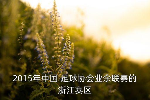 2015年中國 足球協(xié)會(huì)業(yè)余聯(lián)賽的浙江賽區(qū)