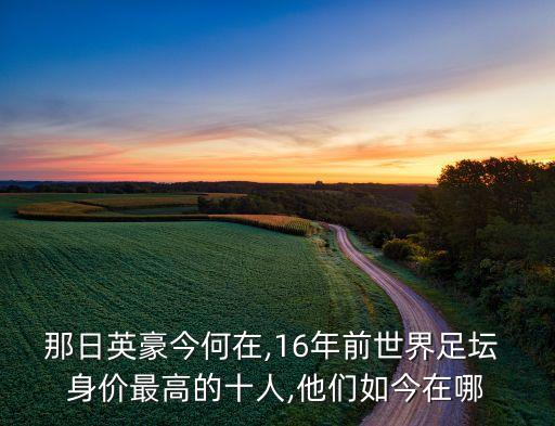 那日英豪今何在,16年前世界足壇 身價最高的十人,他們?nèi)缃裨谀? class=