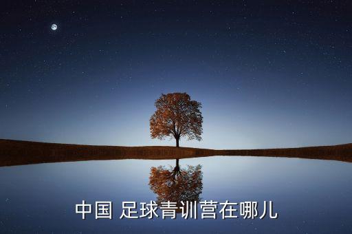 上海申花足球?qū)W校學費