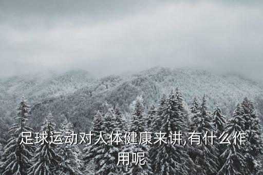 足球柔韌性重要嗎,足球的耐力體力柔韌性