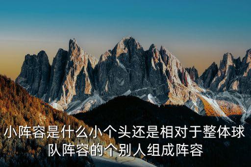 小陣容是什么小個頭還是相對于整體球隊陣容的個別人組成陣容