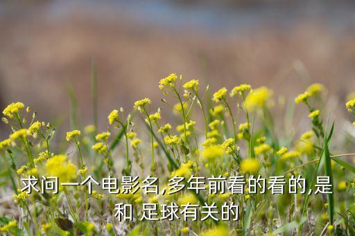 求問(wèn)一個(gè)電影名,多年前看的看的,是和 足球有關(guān)的