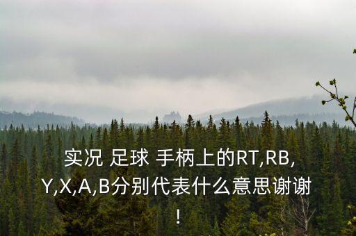 實況足球 手柄默認(rèn),網(wǎng)易實況足球能用手柄玩嗎