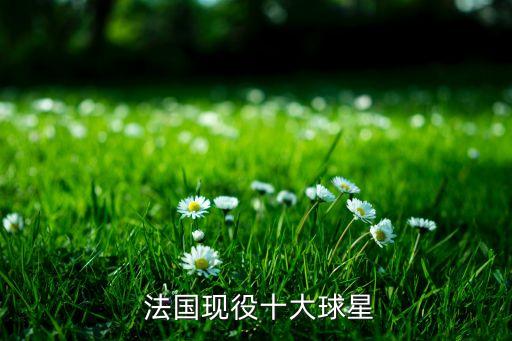  法國(guó)現(xiàn)役十大球星