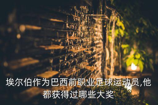 埃爾伯作為巴西前職業(yè)足球運(yùn)動(dòng)員,他都獲得過哪些大獎(jiǎng)
