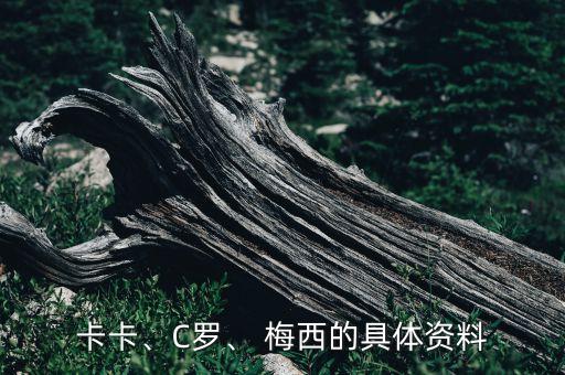 卡卡、C羅、 梅西的具體資料