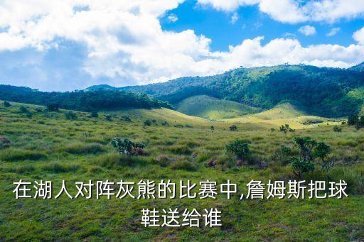 在湖人對(duì)陣灰熊的比賽中,詹姆斯把球鞋送給誰(shuí)