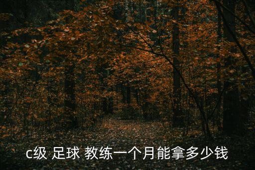 c級 足球 教練一個月能拿多少錢
