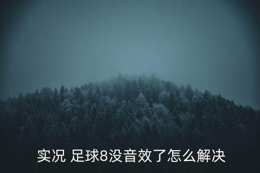 實(shí)況足球2016沒(méi)有聲音,蘋(píng)果手機(jī)玩實(shí)況足球沒(méi)聲音
