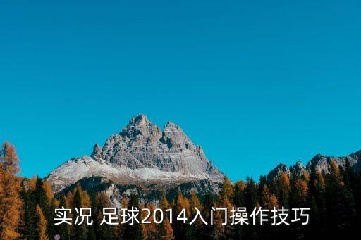  實(shí)況 足球2014入門(mén)操作技巧