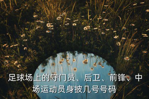  足球場(chǎng)上的守門員、后衛(wèi)、前鋒、中場(chǎng)運(yùn)動(dòng)員身披幾號(hào)號(hào)碼