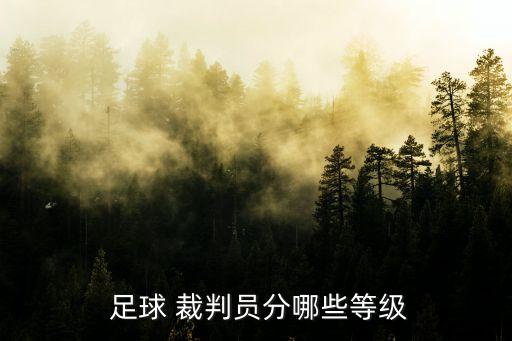  足球 裁判員分哪些等級(jí)