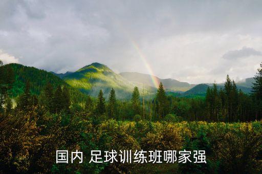 ?？谛W(xué)生足球培訓(xùn)機(jī)構(gòu)
