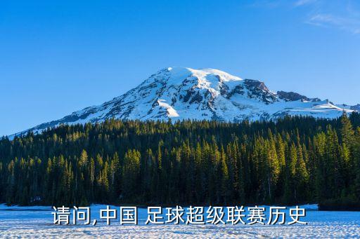 請問,中國 足球超級聯(lián)賽歷史