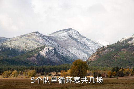 5隊(duì)足球競(jìng)賽編排,足球淘汰賽怎么編排